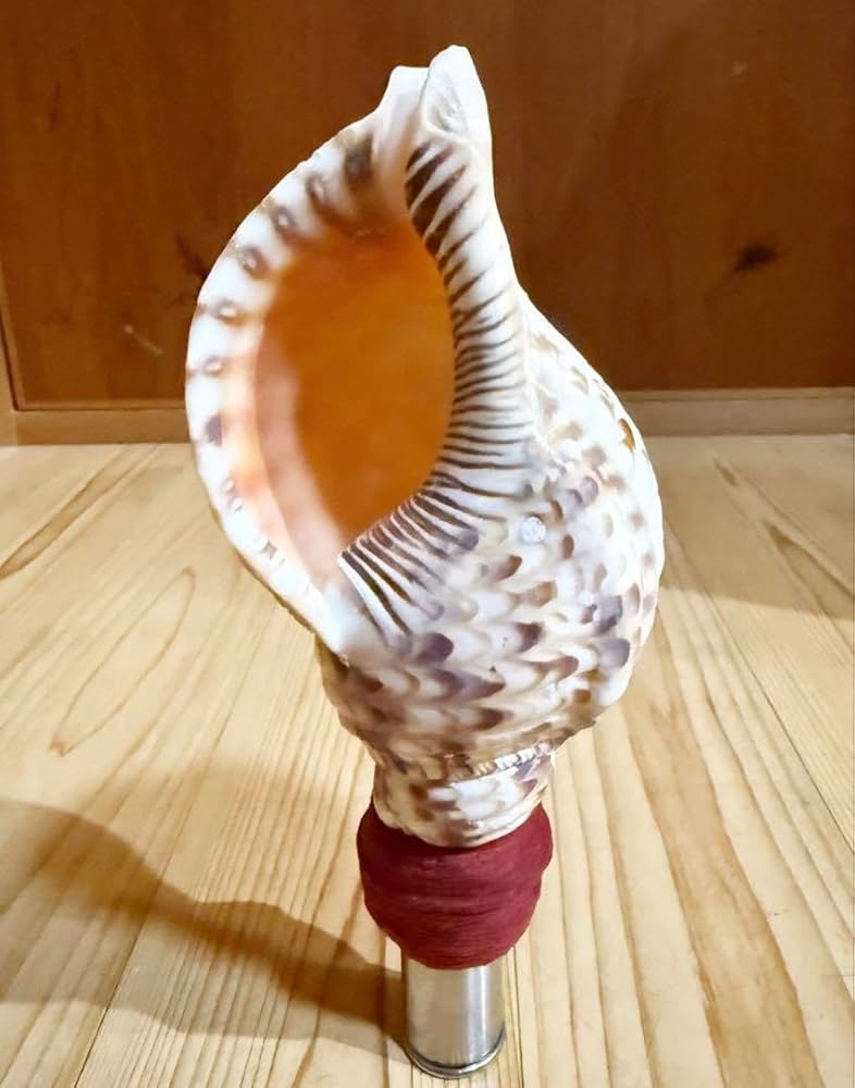 Amazon.co.jp: ミニ法螺貝 ほら貝 ホラガイ : 食品・飲料・お酒